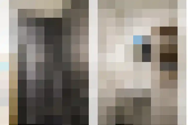 Prunusstraat 15 Borculo thumbnail 22