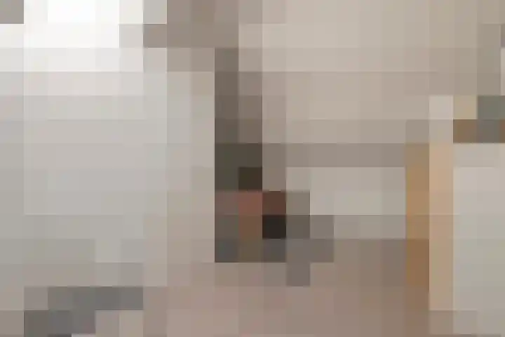 Prunusstraat 15 Borculo thumbnail 26