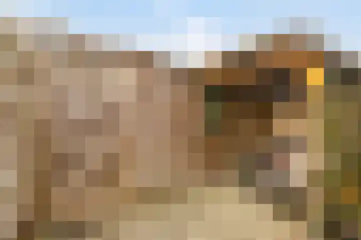 Prunusstraat 15 Borculo thumbnail 32