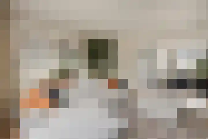 Prunusstraat 15 Borculo thumbnail 5