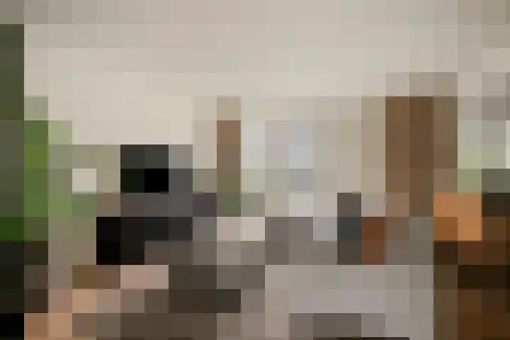 Prunusstraat 15 Borculo thumbnail 7