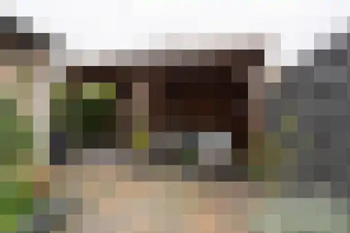 Prunusstraat 22 Winterswijk thumbnail 38