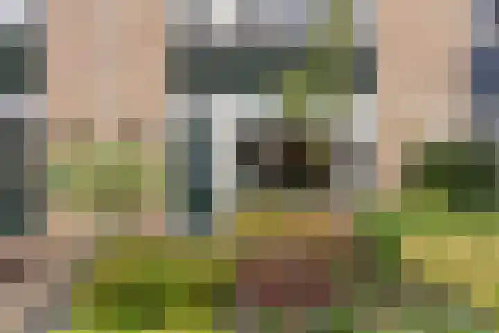 Prunusstraat 22 Winterswijk thumbnail 4
