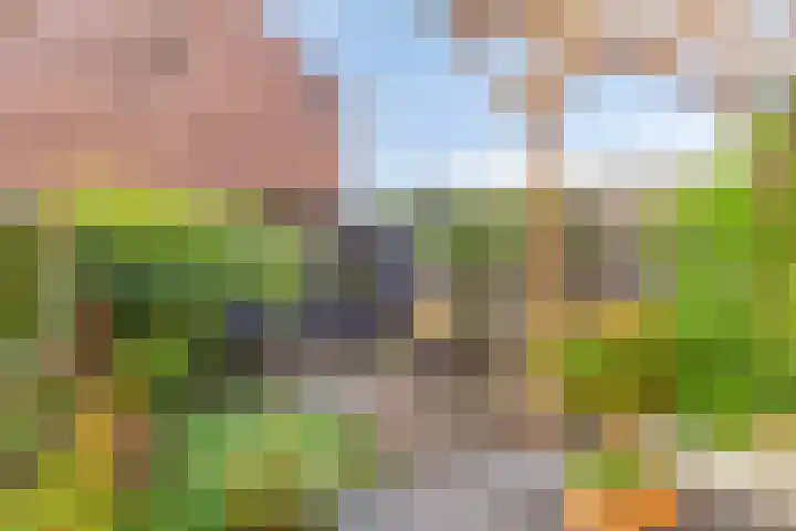Prunusstraat 24 's-Gravenpolder thumbnail 27