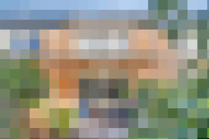 Prunusstraat 24 's-Gravenpolder thumbnail 28