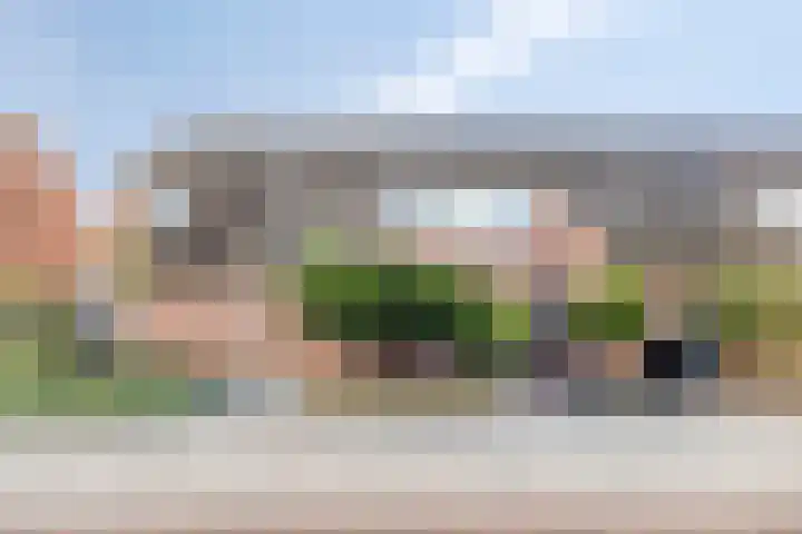 Prunusstraat 24 's-Gravenpolder thumbnail 5