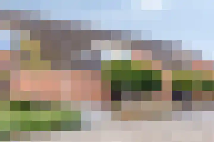 Prunusstraat 24 's-Gravenpolder thumbnail 7