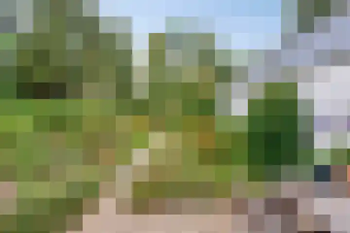 Prunusstraat 5 's-Gravenpolder thumbnail 28