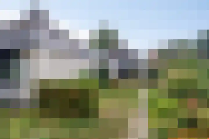 Prunusstraat 5 's-Gravenpolder thumbnail 29