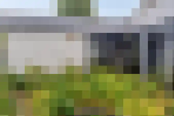 Prunusstraat 5 's-Gravenpolder thumbnail 32