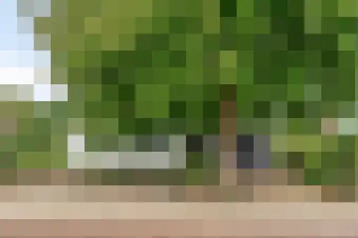 Prunusstraat 5 's-Gravenpolder thumbnail 37