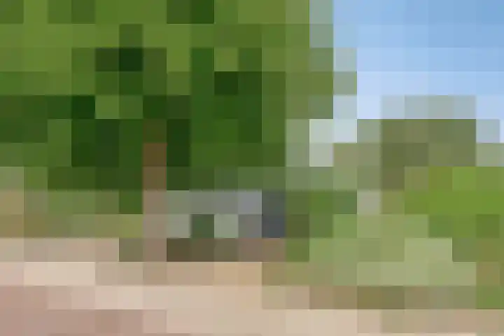 Prunusstraat 5 's-Gravenpolder thumbnail 38