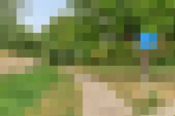 Prunusstraat 5 's-Gravenpolder thumbnail 40