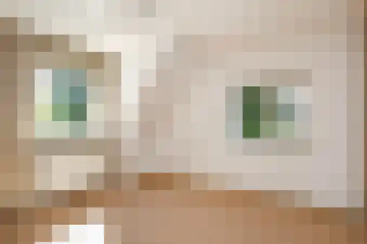 Pullstraat 5 Amersfoort thumbnail 18