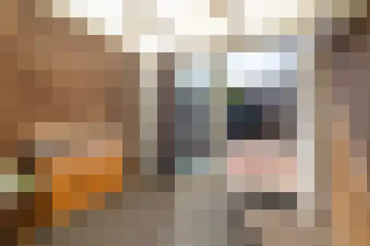Pungel 25 Landgraaf thumbnail 24