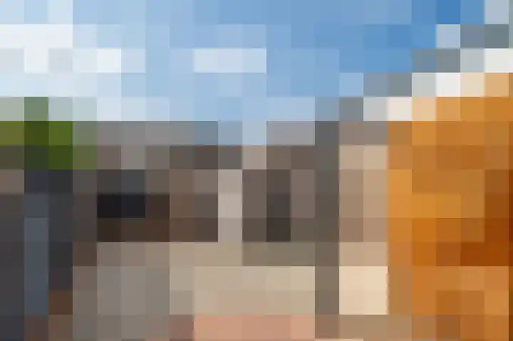 Pungel 25 Landgraaf thumbnail 45