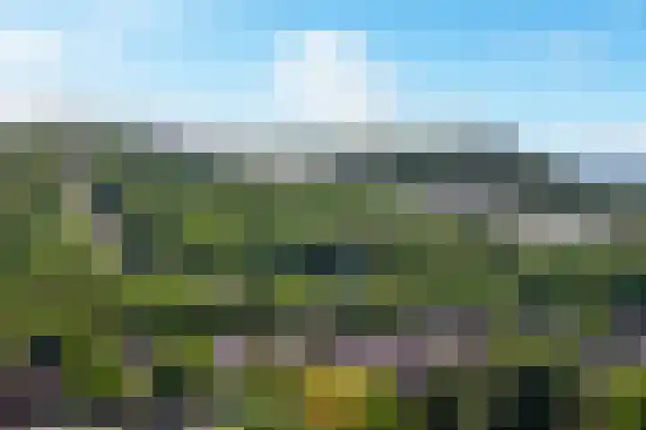 Pungel 25 Landgraaf thumbnail 5