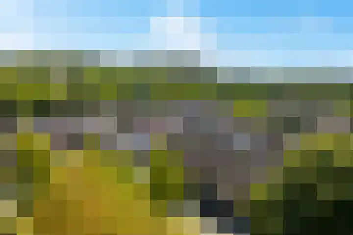 Pungel 25 Landgraaf thumbnail 51
