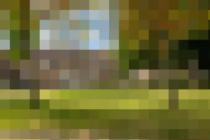 Pungel 25 Landgraaf thumbnail 55