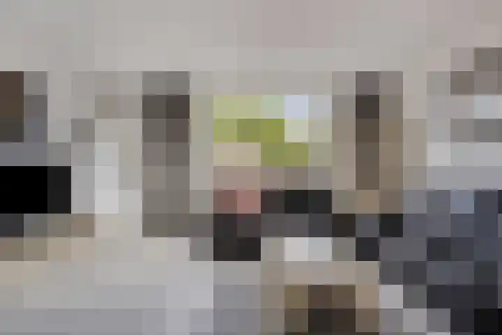 Punter 12 Barendrecht thumbnail 7