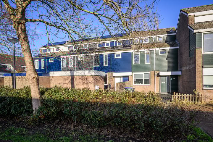 Punter 16 18 in Lelystad foto