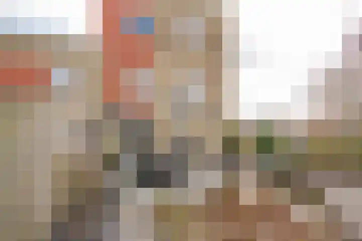 Punter 19 Nijkerk thumbnail 23