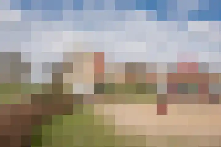 Punter 19 Nijkerk thumbnail 27