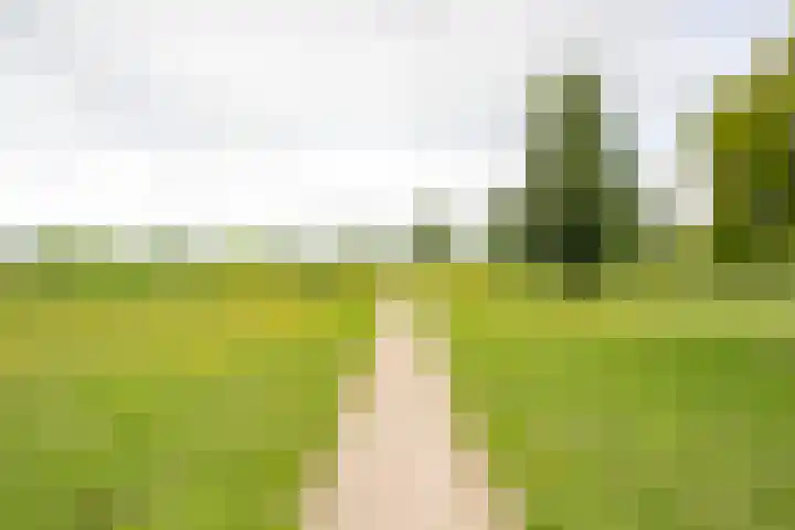 Punter 19 Nijkerk thumbnail 29