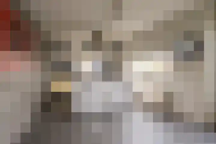Punter 19 Nijkerk thumbnail 8