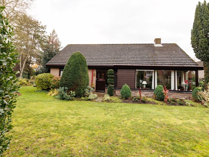 Punter 25 23 in Lelystad foto