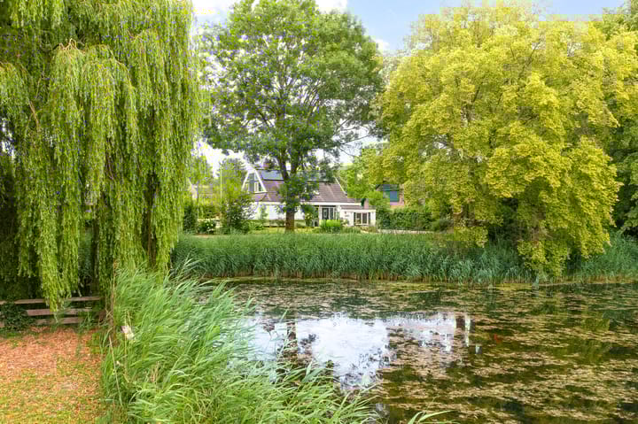 Punter 26 16 in Lelystad foto