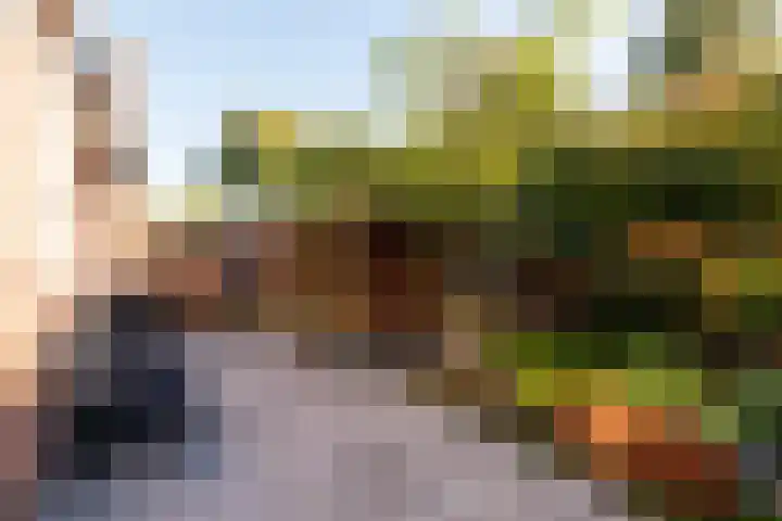 Punter 29 29 12 Lelystad thumbnail 43