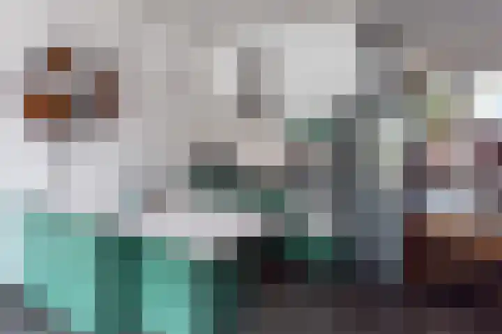 Punter 3 Veenendaal thumbnail 10