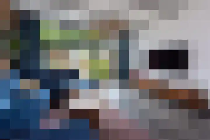 Punter 3 Veenendaal thumbnail 11