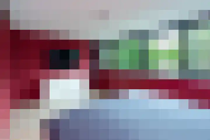 Punter 3 Veenendaal thumbnail 17