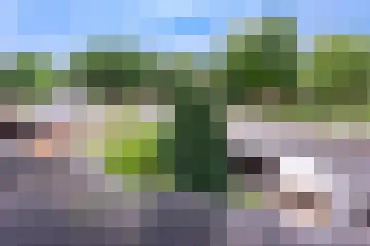 Punter 3 Veenendaal thumbnail 30