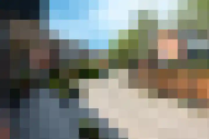 Punter 3 Veenendaal thumbnail 36