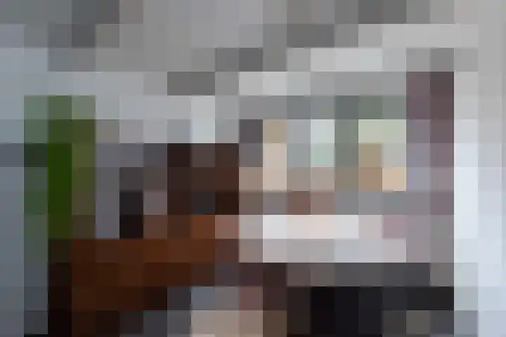 Punter 3 Veenendaal thumbnail 5