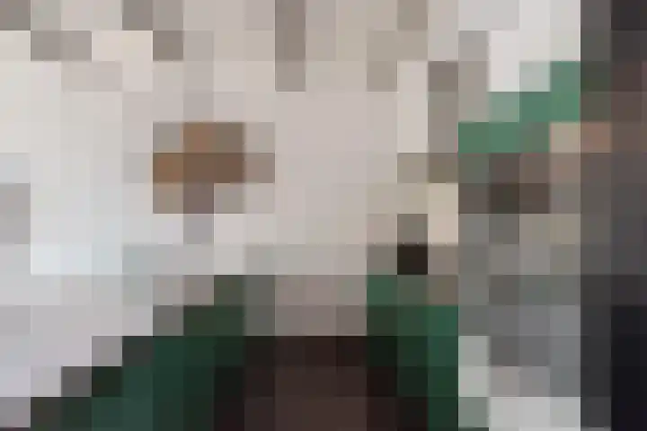 Punter 3 Veenendaal thumbnail 9