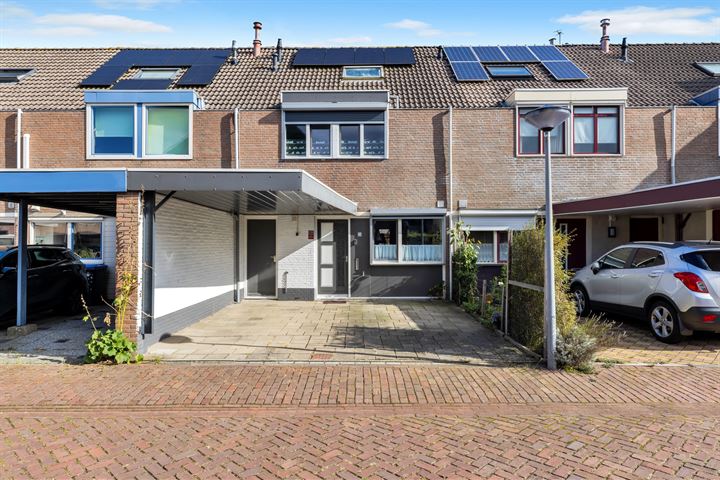 Punter 32 23 in Lelystad foto