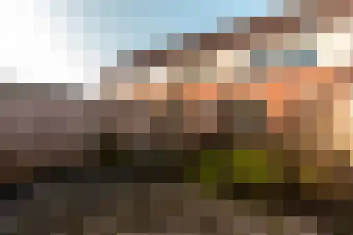 Punter 33 33 30 Lelystad thumbnail 23
