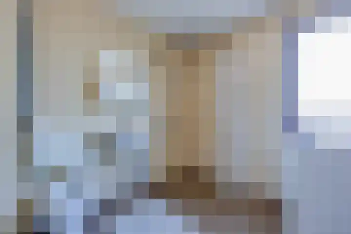 Punter 40 40 36 Lelystad thumbnail 16