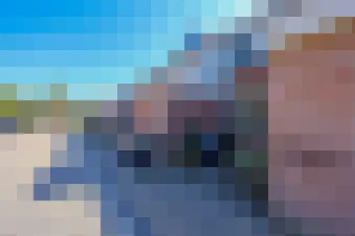 Punter 40 40 36 Lelystad thumbnail 29