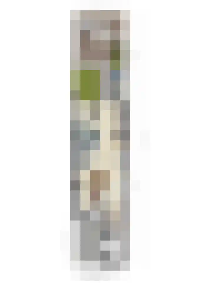 Punter 45 45 12 Lelystad thumbnail 46
