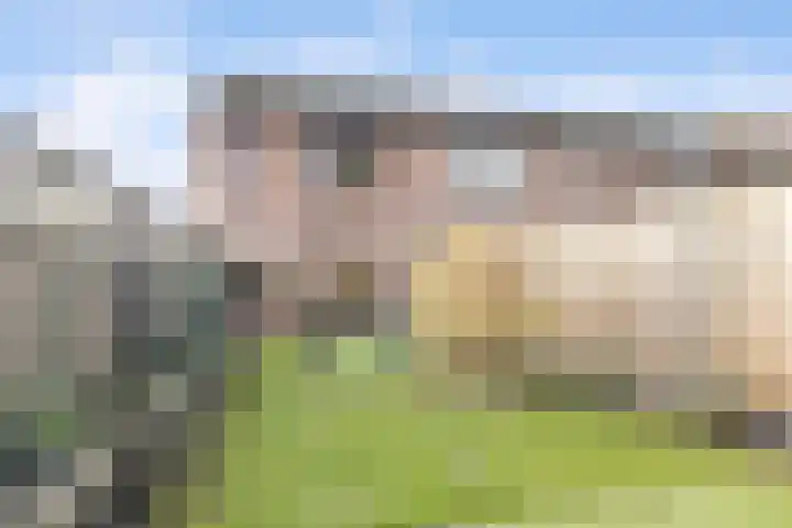 Punter 45 45 2 Lelystad thumbnail 12