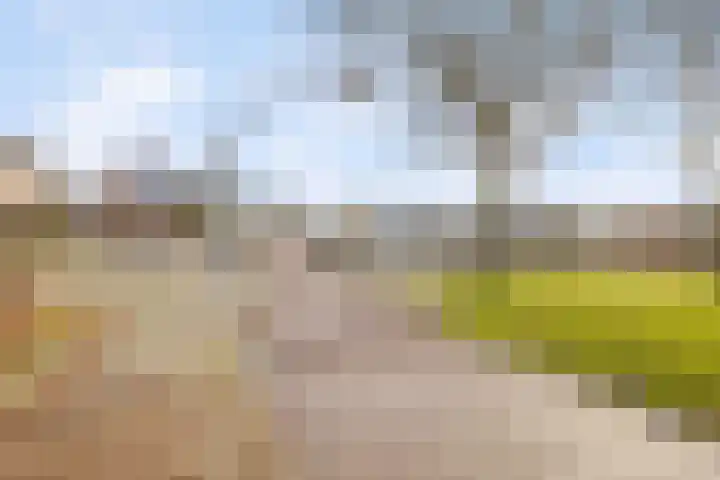 Punter 45 45 2 Lelystad thumbnail 33