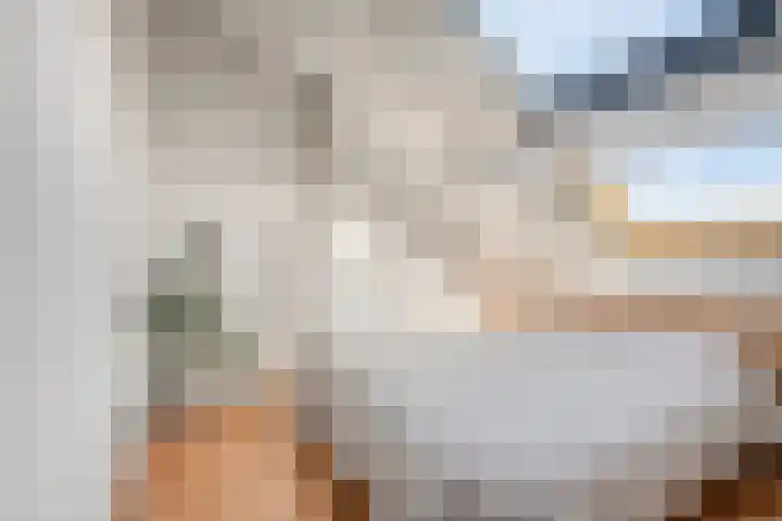 Punter 49 49 16 Lelystad thumbnail 26