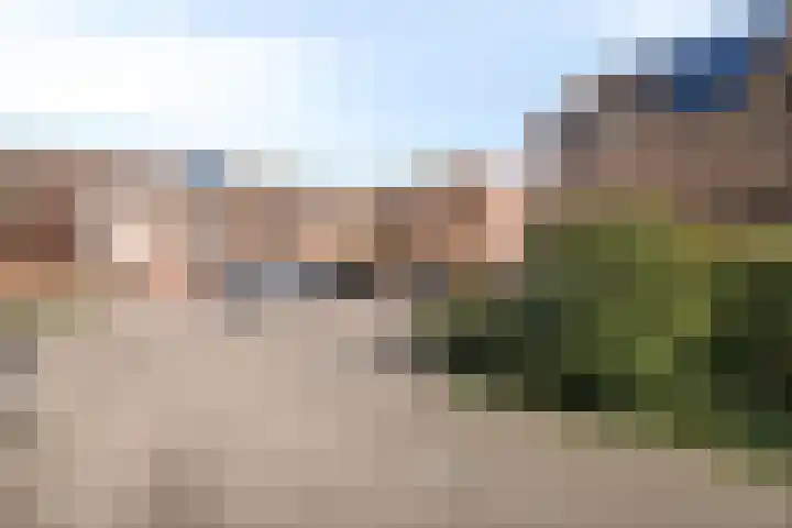 Punter 49 49 16 Lelystad thumbnail 29