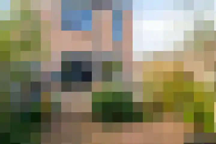Punter 49 49 16 Lelystad thumbnail 5