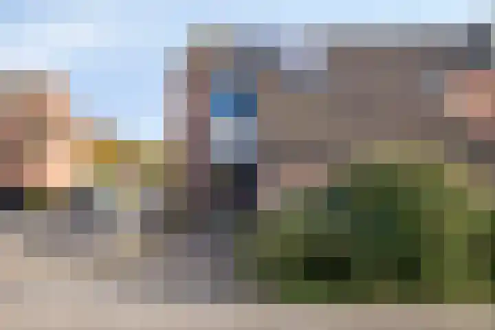Punter 49 49 16 Lelystad thumbnail 6